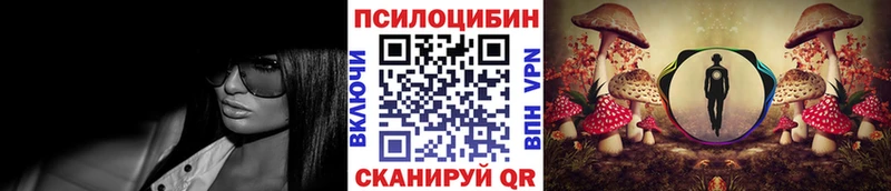 Псилоцибиновые грибы Cubensis  Киренск 